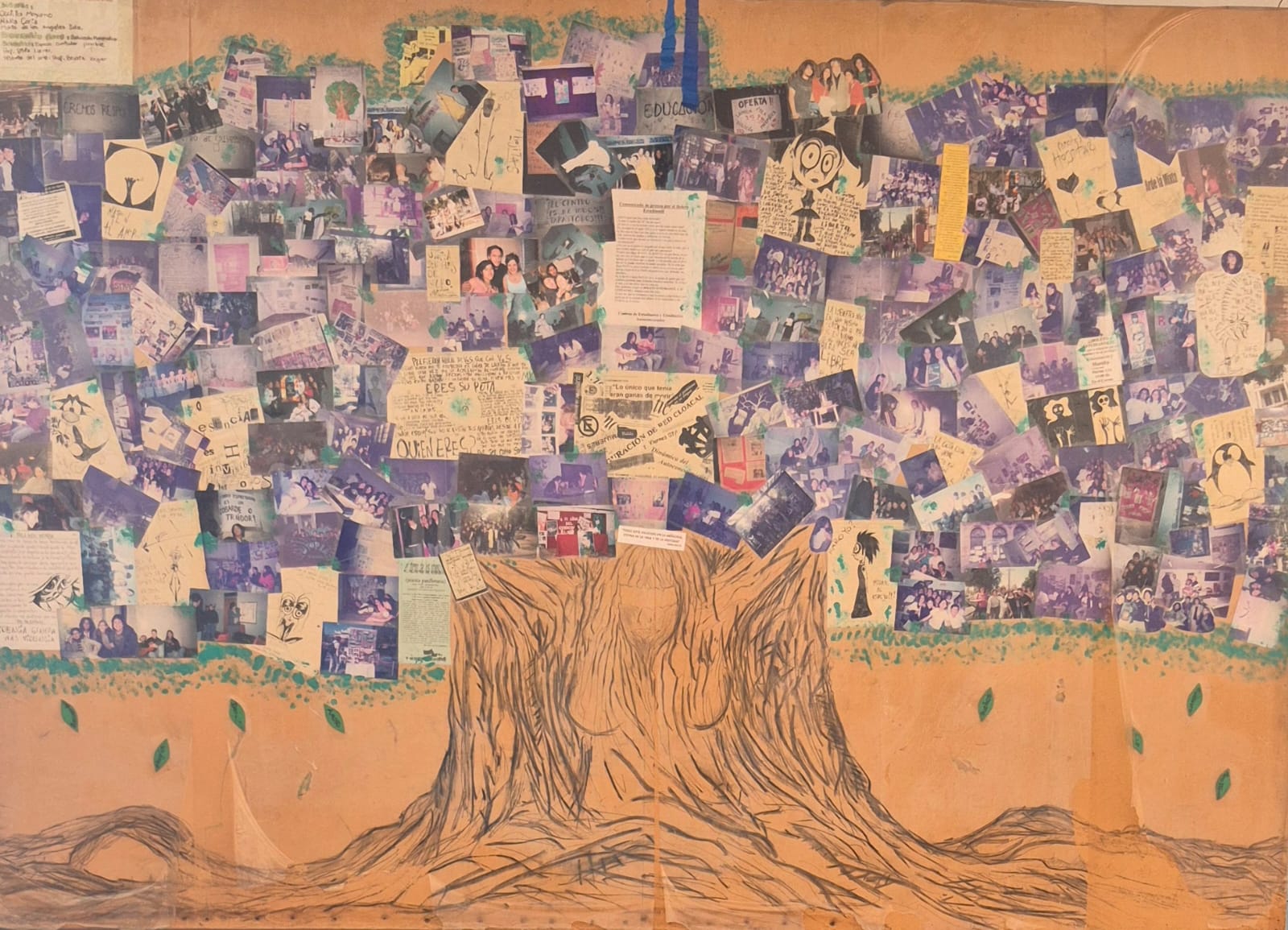 Arboles de la Memoria Mixta
